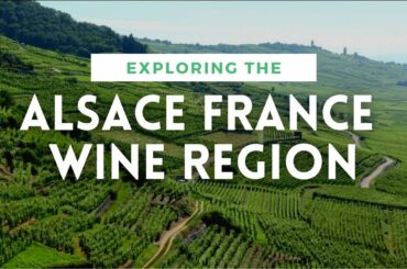 ALSACE FRANCE WINE REGION OVERVIEW - Plus Pinot Gris Review
