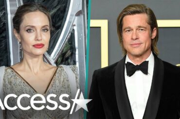 Angelina Jolie Sells Shares Of Her & Brad Pitt's Winery