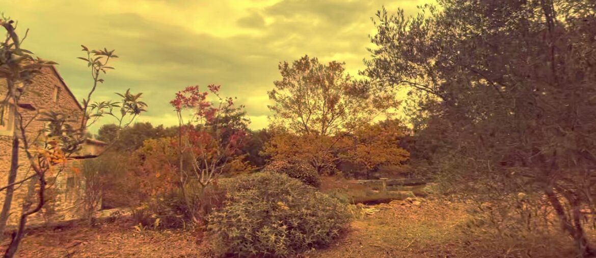 KITCHEN Spy mission pepper in Provence