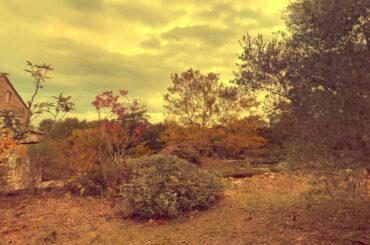 KITCHEN Spy mission pepper in Provence