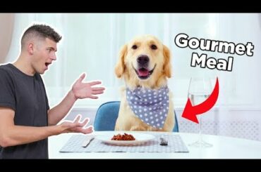I Cooked My Dog A Gourmet 3-Course Meal