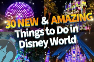 30 NEW & Amazing Things To Do in Disney World