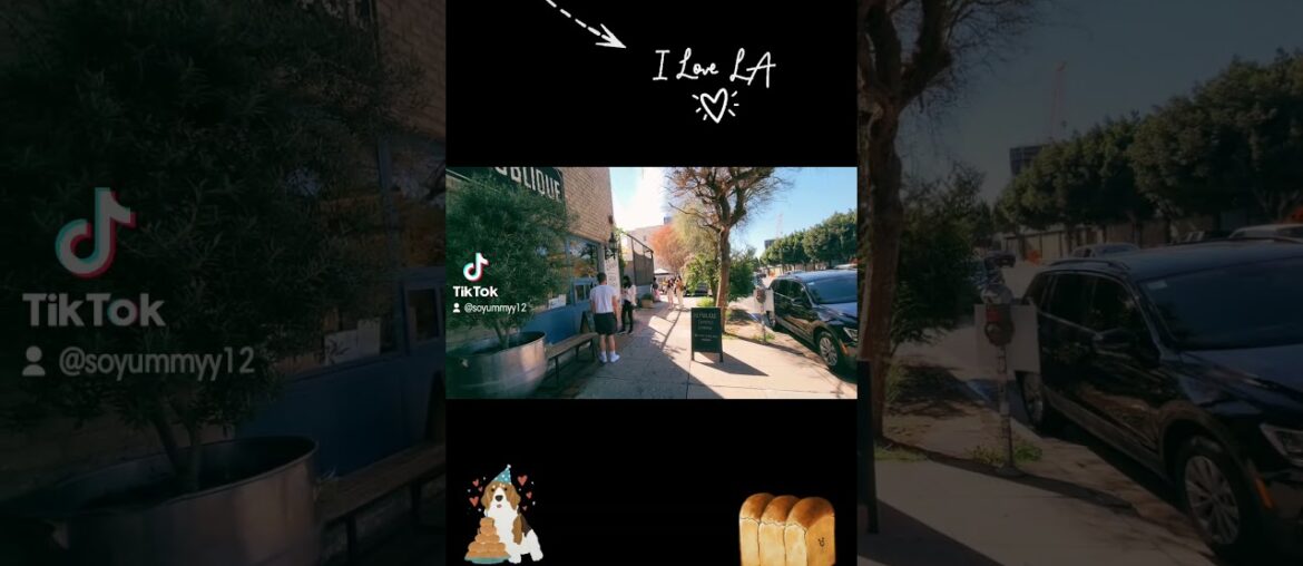 Best French restaurant in LA