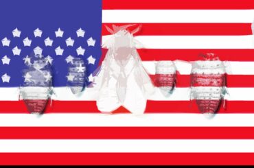 That time America broke (then kinda fixed) French wine