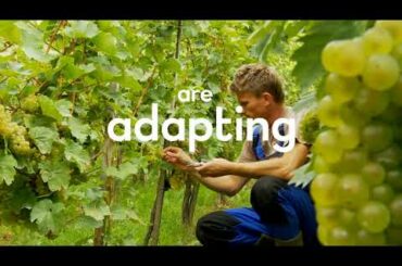 TASTE FRANCE - LES FRENCH WINE DAYS - BIODYNAMIC - 2021