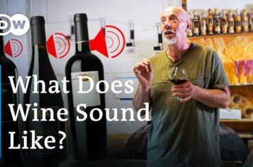 Creating Music From Wine