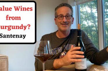 Where to Find Value Wines in Burgundy | Under the Radar Wine from Santenay