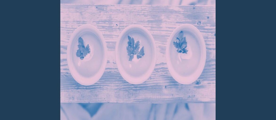 Elegant Ambience for French Restaurants