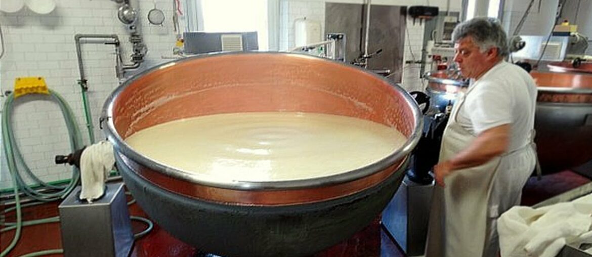 Inside The Cheese And Other Dairy Factory |  Inside The Chocolate Factory