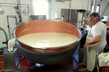 Inside The Cheese And Other Dairy Factory |  Inside The Chocolate Factory
