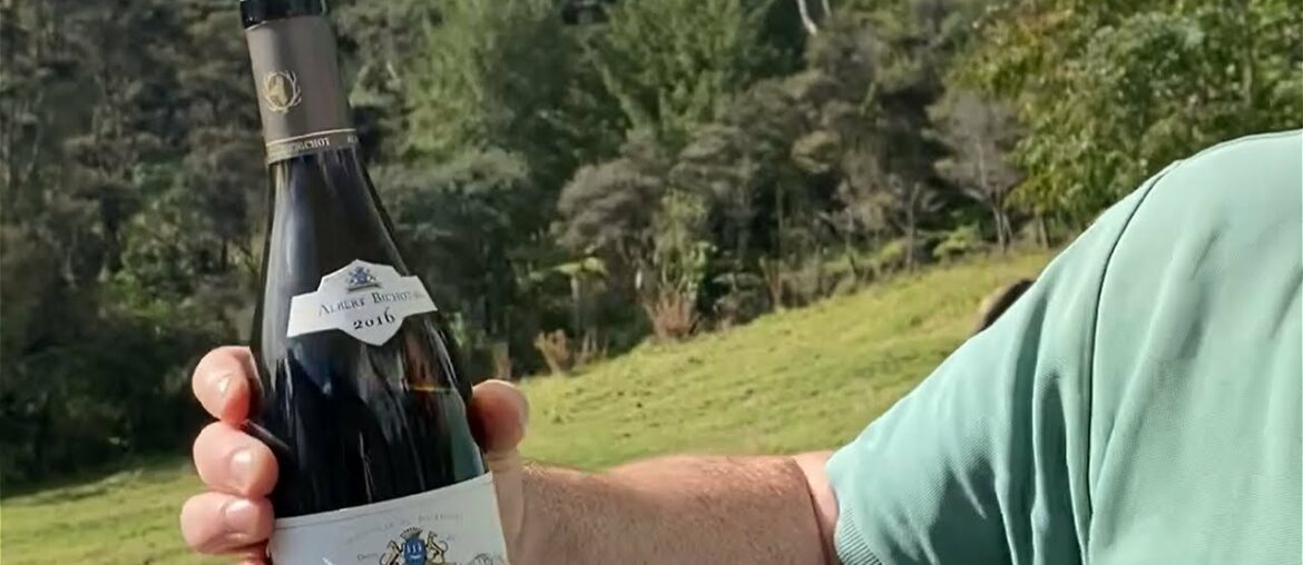 Tasting Albert Bichot 2016 Mercurey – Pinot Noir, Red Wine Tasting Albert Bichot 2016 Mercurey - Pinot Noir, Red Wine