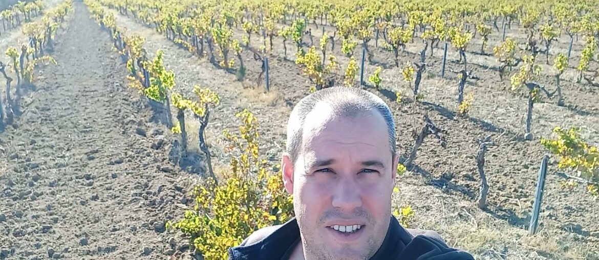 Domaine de Belle Mare from Languedoc, France