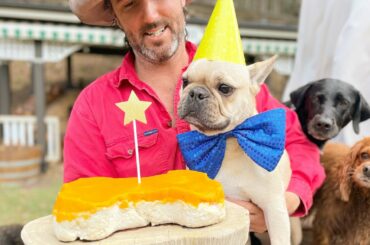 Happy birthday Coco the Lab and Frankie the Frenchie and welcome back Pojo