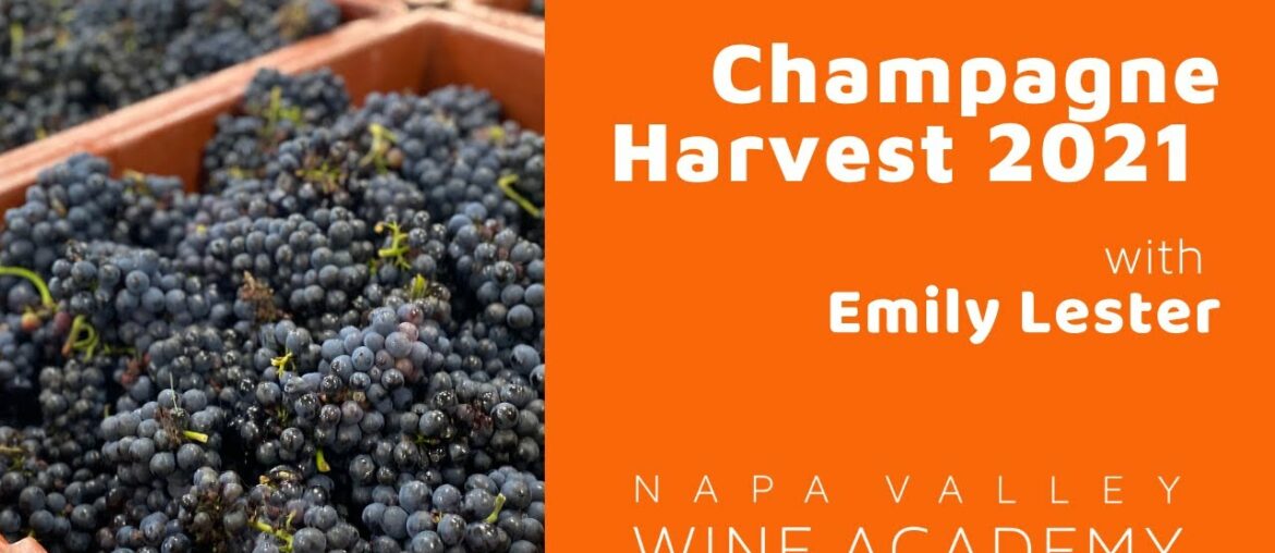 NVWA Champagne Harvest 2021 NVWA Champagne Harvest 2021