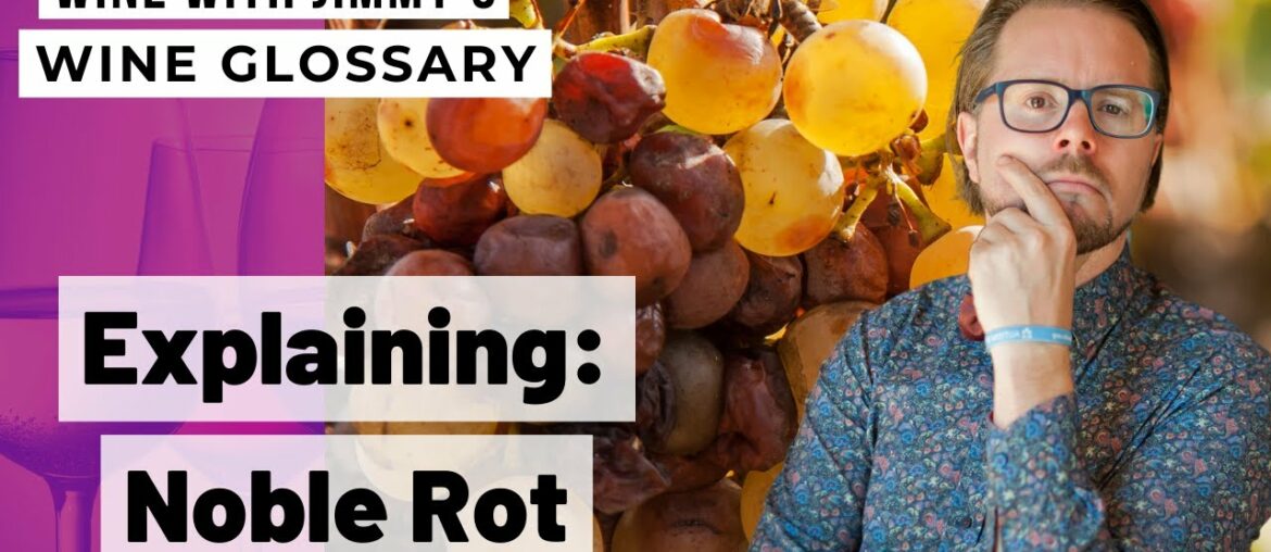 Explaining Wine Terminology: What is Noble Rot? Explaining Wine Terminology: What is Noble Rot?