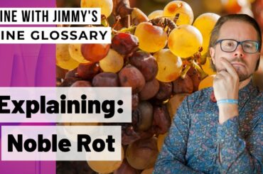 Explaining Wine Terminology: What is Noble Rot?
