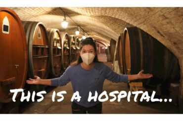 Hospital Wine Cellar, picturesque canals, and another cathedral// 2 days in Strasbourg, France