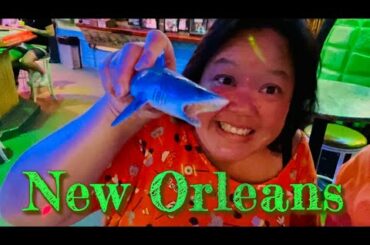 NEW ORLEANS | 24 Hour Adventure on Bourbon Street