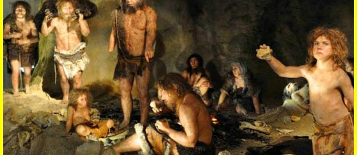 Top 10 Bizarre And Unexpected Foods From The Real Paleo Diet Top 10 Bizarre And Unexpected Foods From The Real Paleo Diet