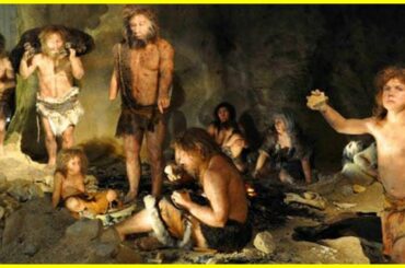 Top 10 Bizarre And Unexpected Foods From The Real Paleo Diet