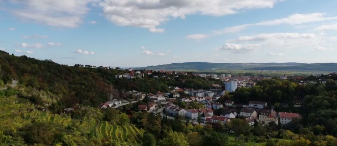Kapitel Zwei Wine: Ried Kremsleiten