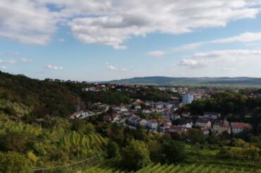 Kapitel Zwei Wine: Ried Kremsleiten