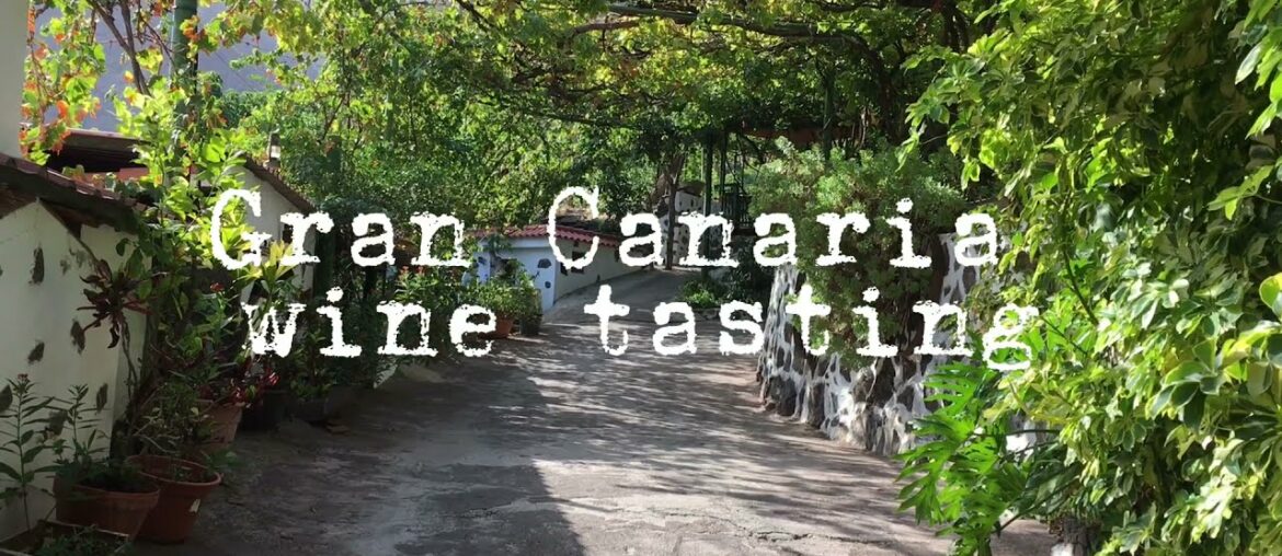Gran Canaria Wine Tasting