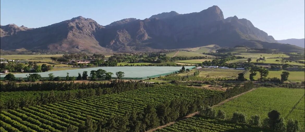 Drone footage of breath-taking sceneries of spectacular vineyards in the Franschhoek Valley