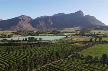 Drone footage of breath-taking sceneries of spectacular vineyards in the Franschhoek Valley