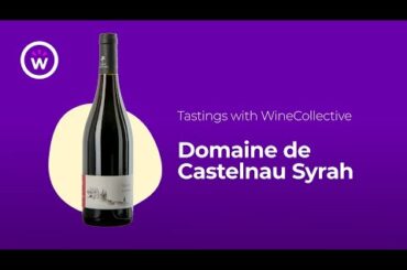 Wine Tastings with WineCollective | Domaine de Castelnau Syrah