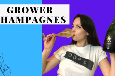 WINE CHAT - Grower Champagnes