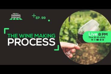 EPISODE 99: THE WINEMAKING PROCESS