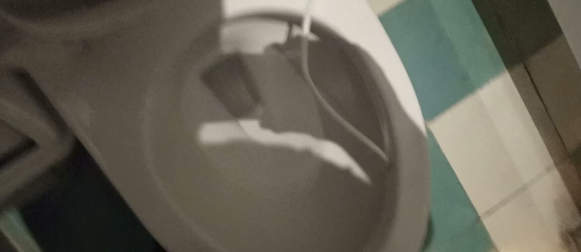 2 C0R0NA Montecarlos at a french restaurant 2 C0R0NA Montecarlos at a french restaurant