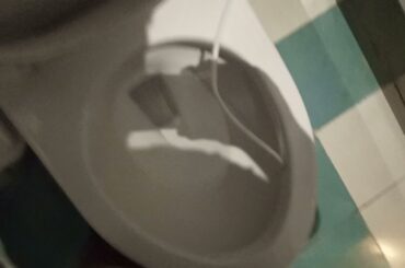 2 C0R0NA Montecarlos at a french restaurant