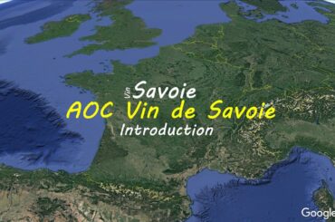 AOC Vin de Savoie Introduction | French Wine map | Wine study