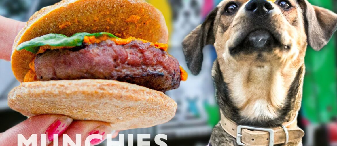 Dogs Eat Like Royalty At Woofbowl - Street Food Icons