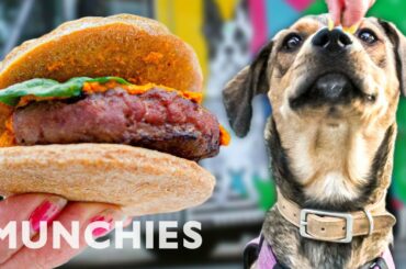 Dogs Eat Like Royalty At Woofbowl - Street Food Icons