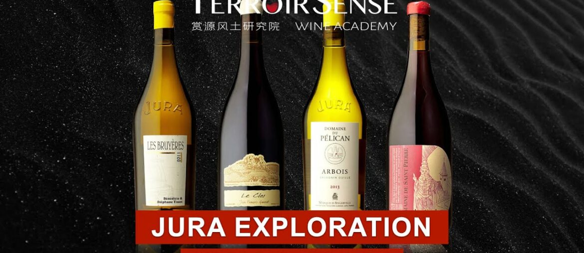Jura Wine Region Exploration with Ian D'Agata