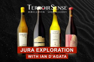Jura Wine Region Exploration with Ian D'Agata