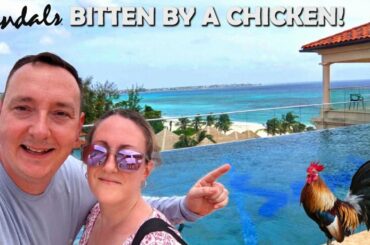 DAY 1 in Paradise | Bitten By A Chicken? | Sandals Royal Resort Barbados + Restaurants
