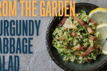 Burgundy style cabbage salad with apple and bacon