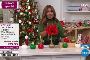 HSN | Holiday Decorating & Gift Giving 10.27.2021 - 04 PM