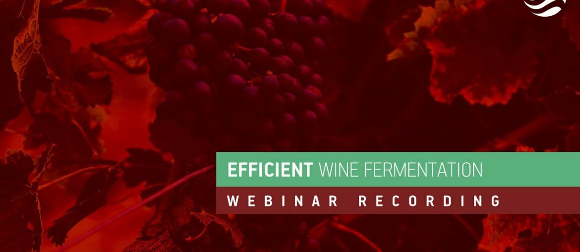 Efficient wine fermentation - Fermentis Webinar