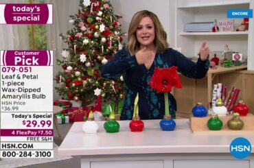 HSN | Holiday Decorating & Gift Giving 10.27.2021 - 03 AM