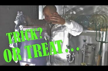 Taming the Beast: Wild Fermentation