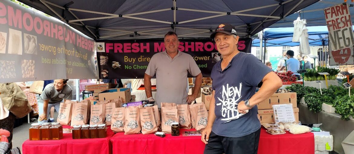 Orange Grove Organic Food Market – Rozelle Sydney Australia Orange Grove Organic Food Market - Rozelle Sydney Australia