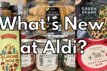 What's New at Aldi? | Late Fall/Early Holiday Shop with Me!