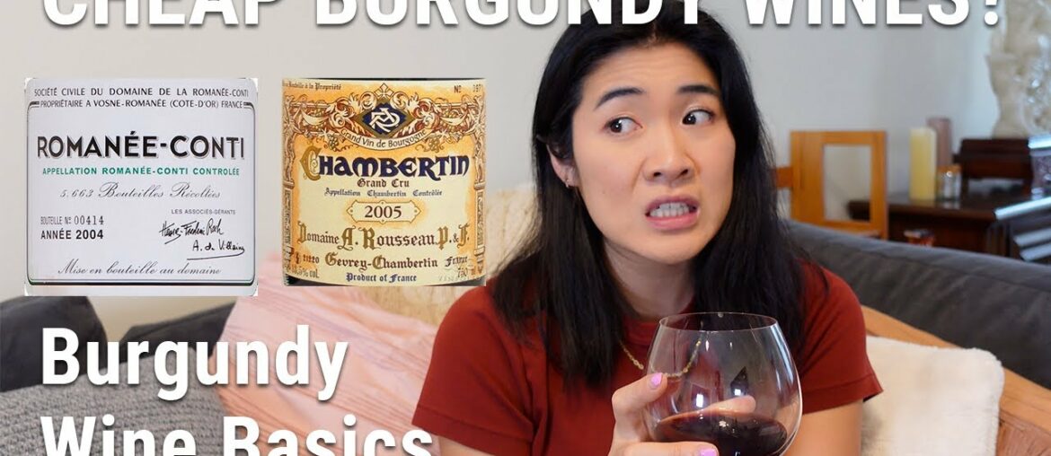 How to Buy Burgundy Wines Without Emptying Your Bank Account | Beginner's Guide to French Wine How to Buy Burgundy Wines Without Emptying Your Bank Account | Beginner's Guide to French Wine