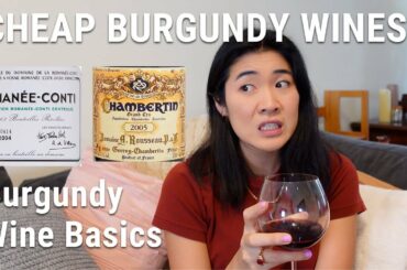 How to Buy Burgundy Wines Without Emptying Your Bank Account | Beginner's Guide to French Wine