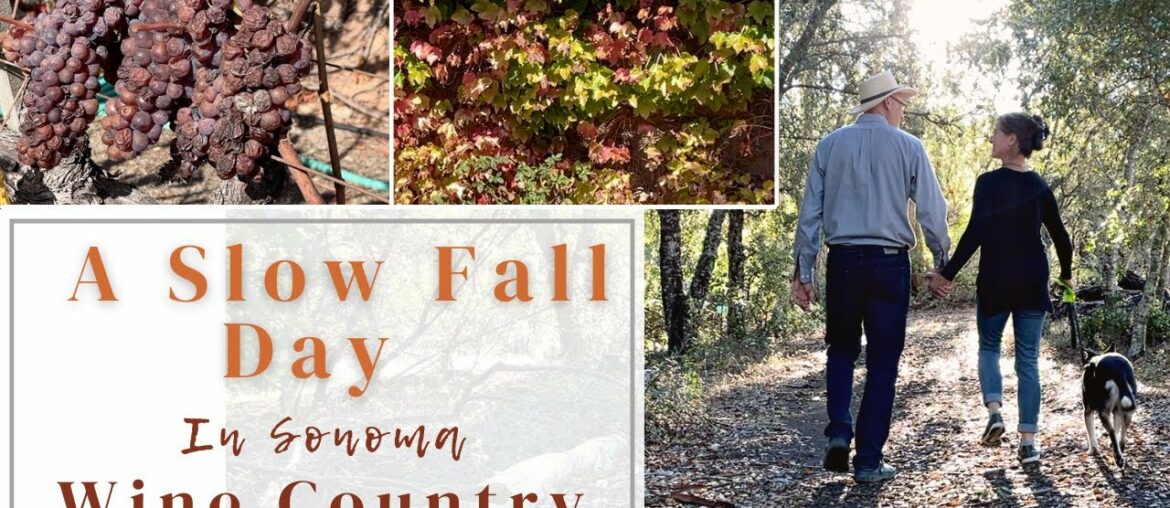 A Slow Fall Day in Sonoma Wine Country A Slow Fall Day in Sonoma Wine Country